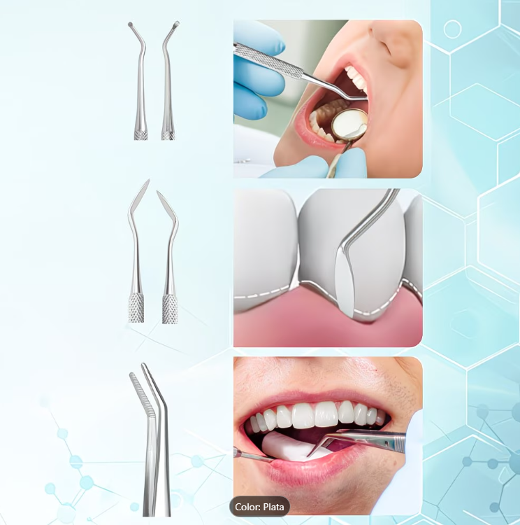 Juego de Herramientas Dentales de Acero Inoxidable 6 pcs